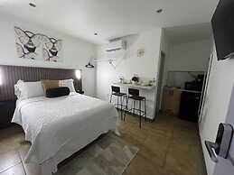 Estudios 303