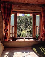 Adventure Lodge Jibhi