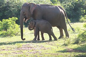 Yaalu Yaala Safari Camp