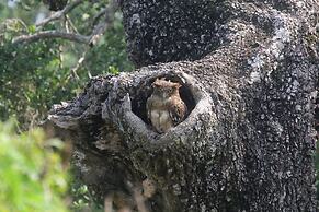 Yaalu Yaala Safari Camp