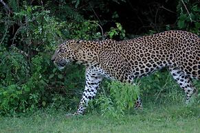 Yaalu Yaala Safari Camp