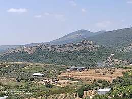 tsemrem sof aolam 2