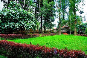 DNC Luxe Resorts & Spa