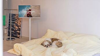 Ganghwa Aboha Pet-friendly Pension