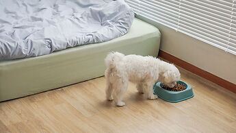 Ganghwa Aboha Pet-friendly Pension