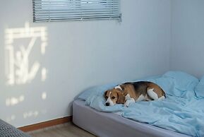 Ganghwa Aboha Pet-friendly Pension
