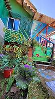 D's Mayaavea Homestay