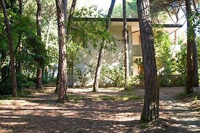 Terrace Home by the Pinewood
