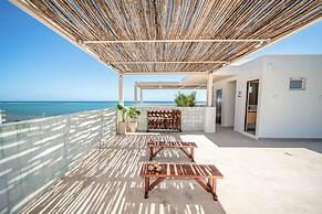 Greta Puerto Morelos