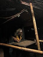 Lion Cafe Resort