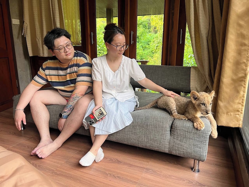 Lion Cafe Resort
