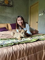 Lion Cafe Resort