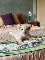 Lion Cafe Resort