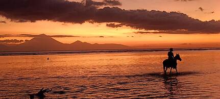 Gili Beach Bum Hostel