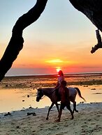 Gili Beach Bum Hostel