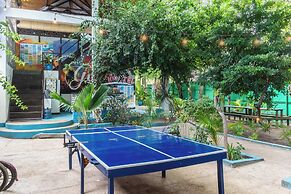 Gili Beach Bum Hostel