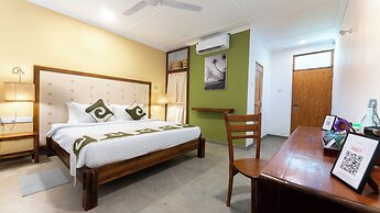 Surfing Elephant Resort