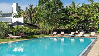 Surfing Elephant Resort