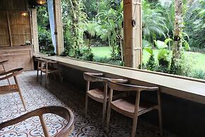 The Jungle Pots