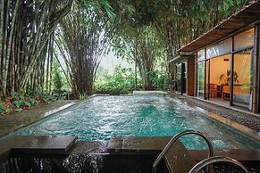 The Jungle Pots