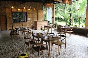 The Jungle Pots