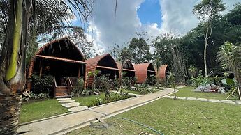 The Jungle Pots