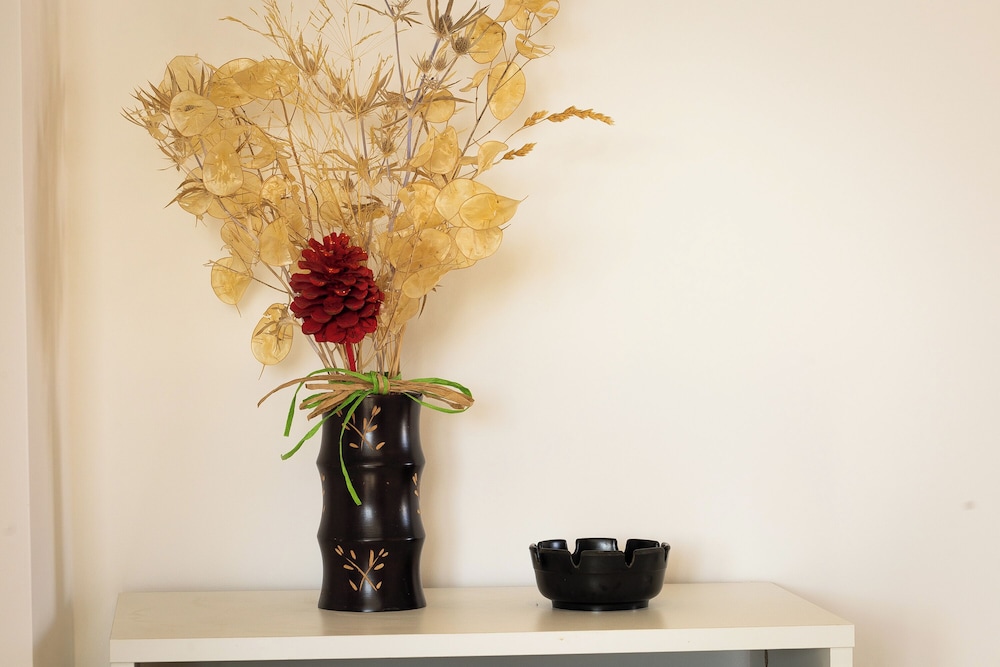 Rental in Rome Saint Peter View Penthouse