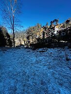 Bawli Treehouse