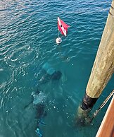 Blue Heron Bridge Hotel & Dive Club
