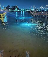 Blue Heron Bridge Hotel & Dive Club