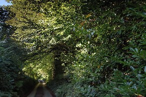 Ladye Park