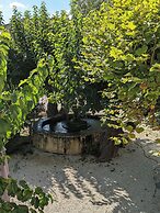 La Fontaine aux Poissons Rouges