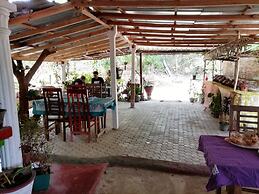 Anura Homestay