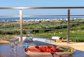 Luxurious Villa David