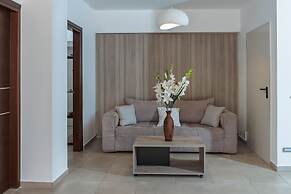 Luxurious Villa David