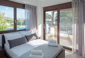 Luxurious Villa David