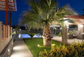 Luxurious Villa David