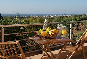 Luxurious Villa David