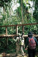 CHUNCHO LODGE