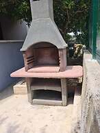 House Pine Tree