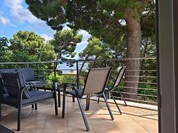 House Pine Tree
