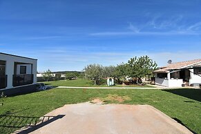 House Aria