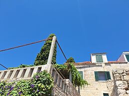 Apartments Neptun