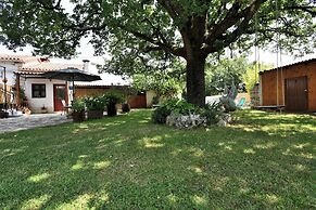 Apartment Lucija