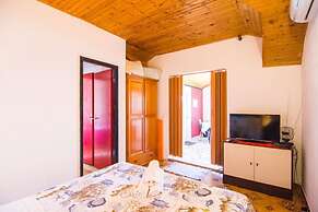 Apartment Ivo
