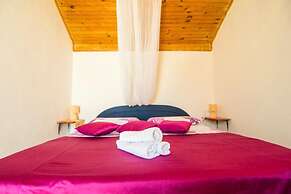 Apartment Ivo