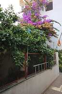 Apartments Zoki
