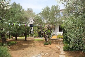 Apartments Araz
