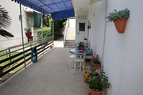 Apartments Araz