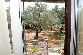 Apartments Araz